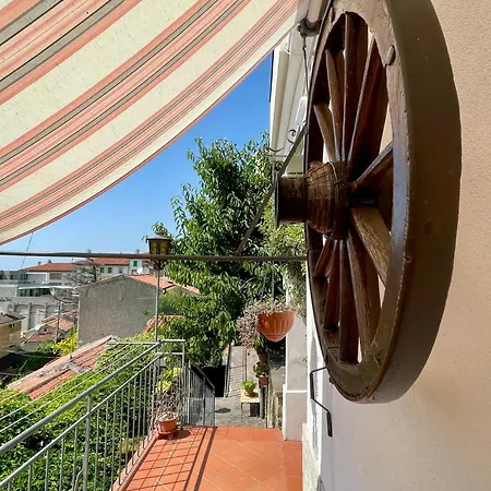 Le Pergole ترييستي